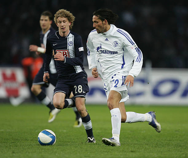 整德布劳内 整德布劳内